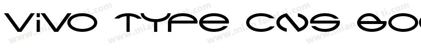 vivo type CNs Bold GB字体转换
